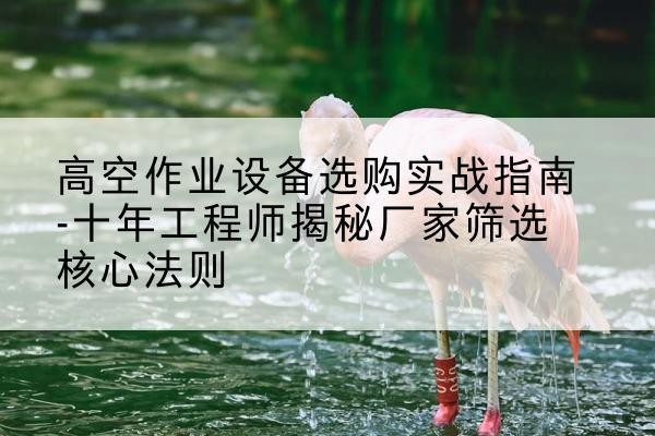 衡东剪叉式升降机厂家-高空作业设备选购实战指南-十年工程师揭秘厂家筛选核心法则