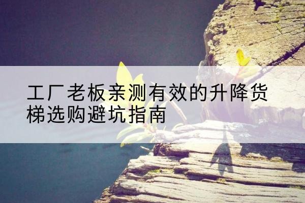 衡东升降货梯怎么选-工厂老板亲测有效的升降货梯选购避坑指南