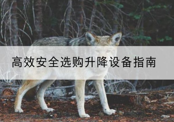 衡东升降货梯厂家推荐-*安全选购升降设备指南