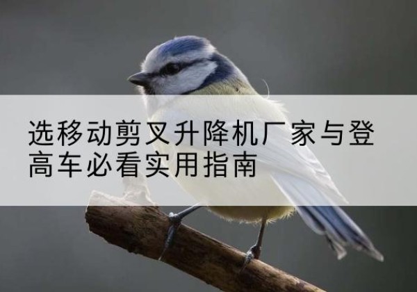 衡东电动升降机厂家-选移动剪叉升降机厂家与登高车必看实用指南