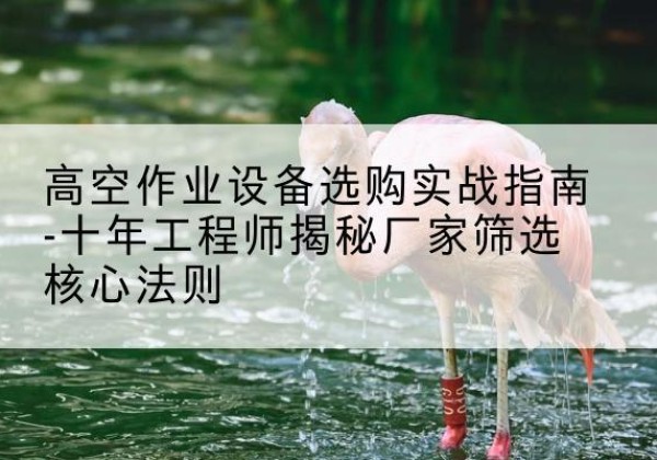 衡东剪叉式升降机厂家-高空作业设备选购实战指南-十年工程师揭秘厂家筛选核心法则